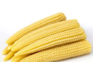 Frozen baby Corn