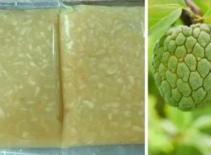 Frozen custard apple pulp